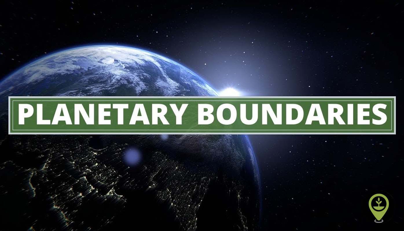 Outside the Safe Operating Space of the Planetary Boundary for