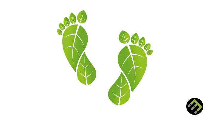 How To Reduce Your Carbon Footprint As A Team Ecomatcher