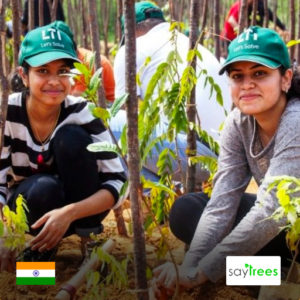 Trees in India