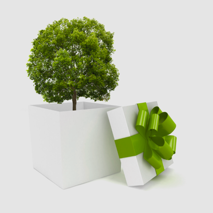 Aggregate 74+ green corporate gifts latest