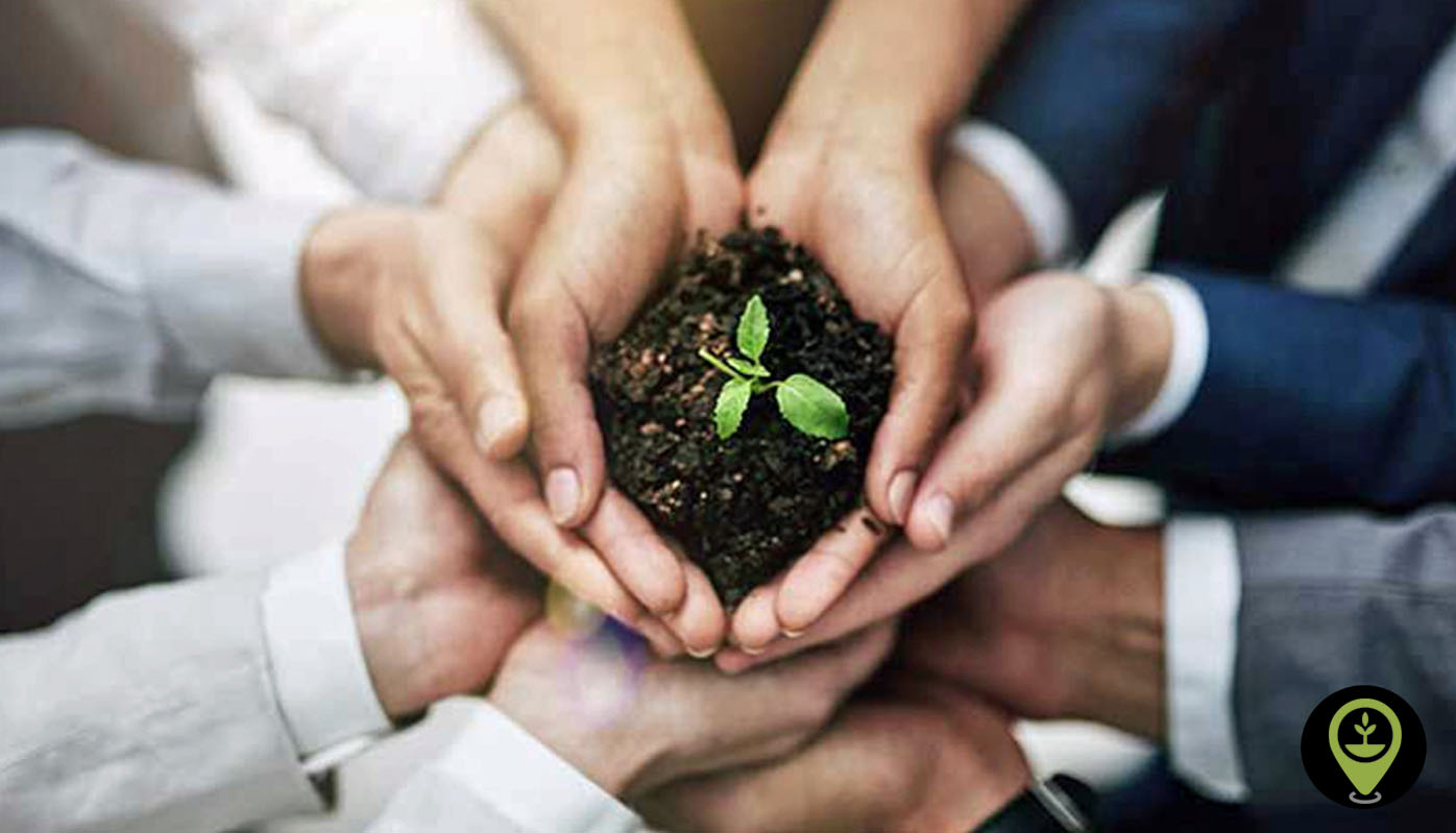 What Tree Planting Does For Employee Engagement - EcoMatcher