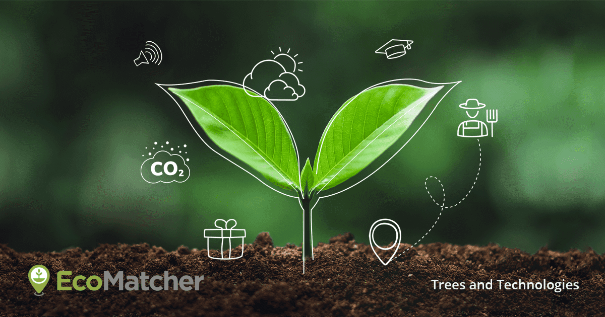 tree plantation programme project