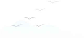 birds-right
