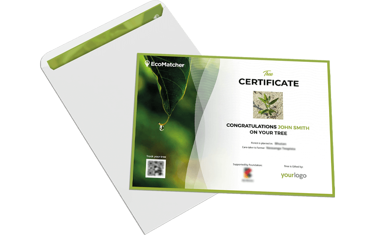 certificate-mbl