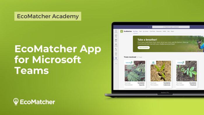 Academy - EcoMatcher